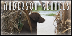 Anderson Kennels