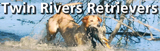 Twin Rivers Retrievers