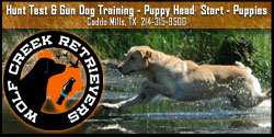 Wolf Creek Kennels