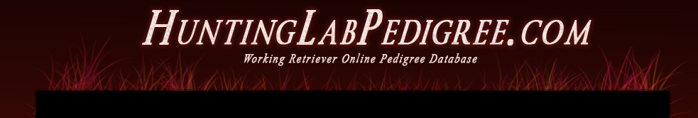 Hunting lab pedigree